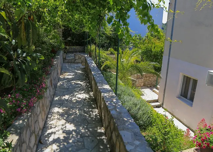 Guest house Guesthouse Aurora 3*